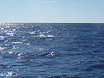 P7310029.JPG