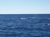 P7310030.JPG