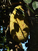 P1010057.JPG