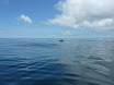 P1010194.JPG