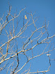 P1010067.JPG