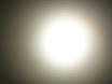 P1000890.JPG
