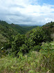 P1010005.JPG