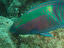 P7130134.JPG