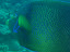 P7130139.JPG