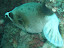P7130259.JPG