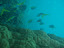 P7120163.JPG