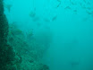 P9210035.JPG