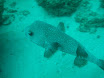 P9210036.JPG