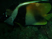 P9210050.JPG