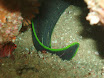 P9220160.JPG