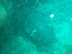 P9230203.JPG