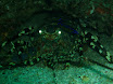 P9230240.JPG