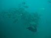 P9210028.JPG