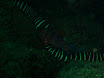 P9220135.JPG