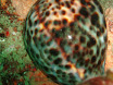 P9220138.JPG