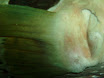 P9210105.JPG