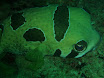 P9210097.JPG