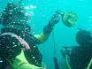 P9130046.JPG