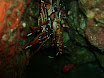 P9220126.JPG