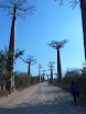 P1010863.JPG
