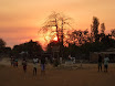 P1010712.JPG