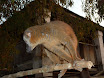 P1010700.JPG