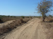 P1010824.JPG
