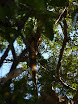 P1010647.JPG