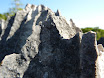 P1010616.JPG