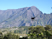 P1000733.JPG