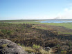P7050023.JPG