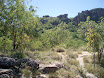 P7060045.JPG
