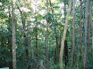 P7090230.JPG