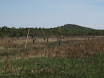 P7090248.JPG
