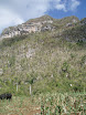 P4230049.JPG