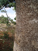 P4230038.JPG