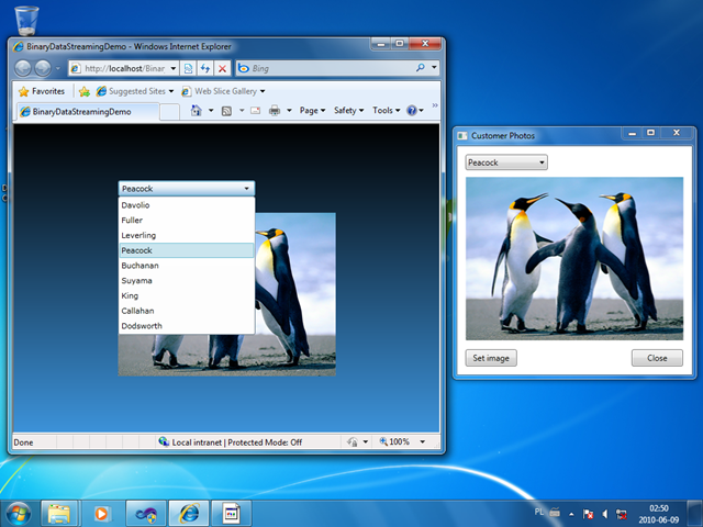 [WCFDataServices_BinaryStream1[3].png]