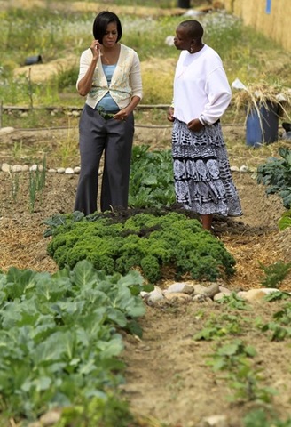 [garden[2].jpg]