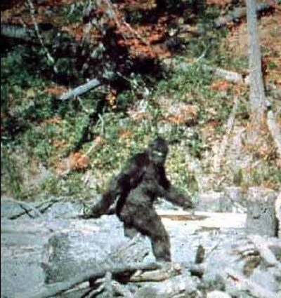 [patterson_bigfoot[5].jpg]