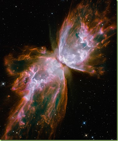 butterfly nebula