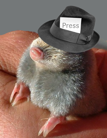 [little mo press hat[4].png]