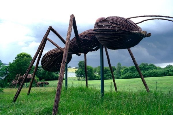 [big-bugs-ants[4].jpg]