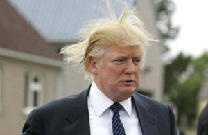 [trump the donald's hair[3].jpg]