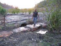 IMG_6457.JPG Photo