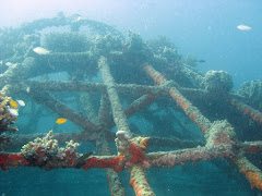Artificial reef of The Project