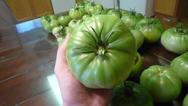 [P1010380[2].jpg]