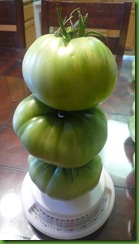 P1010385