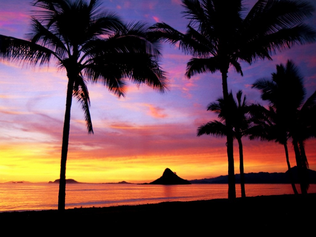 [hawaiian sunset[3].jpg]