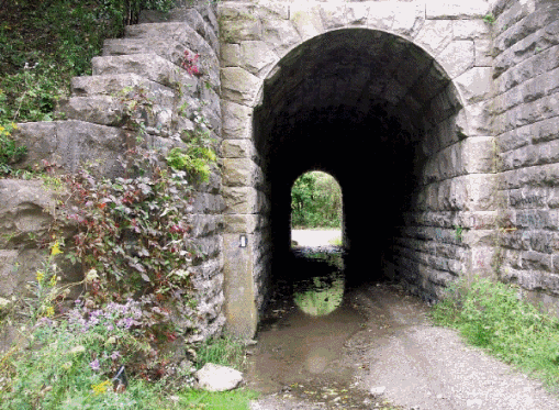 Screaming Tunnel